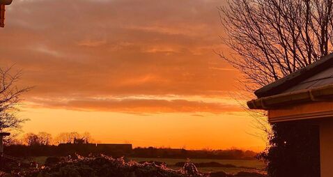 Catherine Drea: Ways to stay cheerful in spite of everything