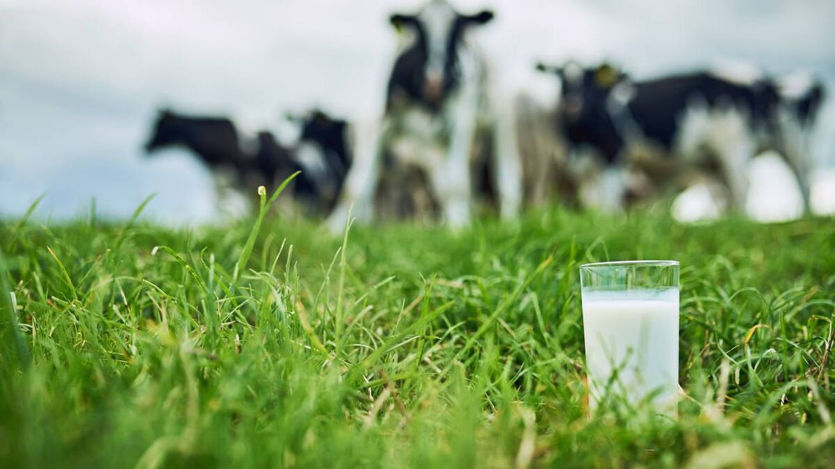Update on Waterford Dairy Farmers sponsorship of Waterford Ladies Gaelic Footballers