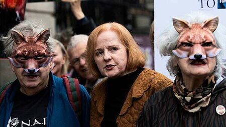 Bill to ban fox hunting defeated in Dáil