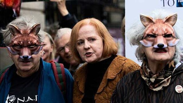 Bill to ban fox hunting defeated in Dáil