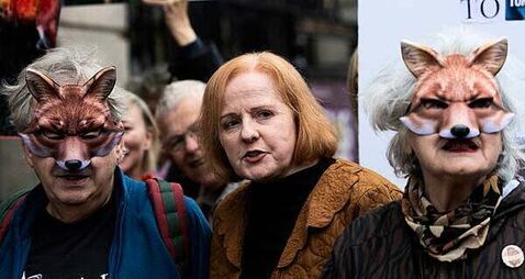 Bill to ban fox hunting defeated in Dáil