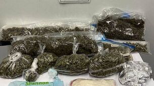 Taser pilot for gardaí begins in Dublin and Waterford as assaults increase