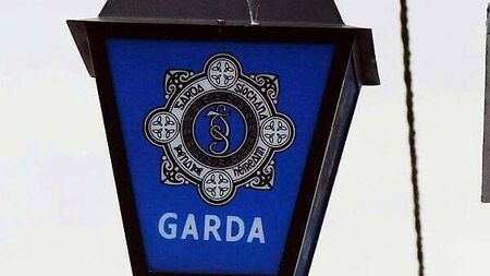 Man (20s) arrested in Dublin as part of organised crime probe