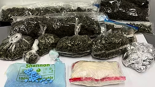 Irish grandmother to be released from US custody