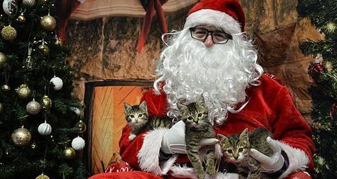 USPCA expands support for pet owners experiencing poverty