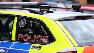 Man charged after cannabis plants with street value of €230,000 seized