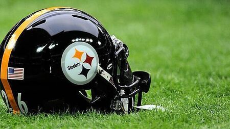 Pittsburgh Steelers wide receiver DK Metcalf appears to throw punch at fan