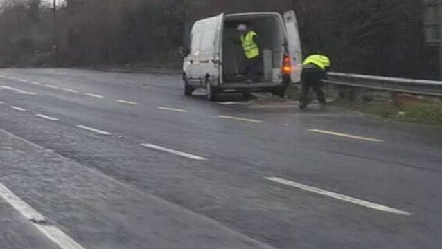 <p>Culprits caught in the act. Picture: Waterford City and County Council. </p>