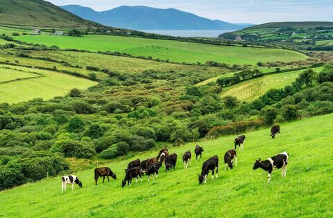 Farming: Minister Heydon launches second National Farmed Animal Biosecurity Strategy