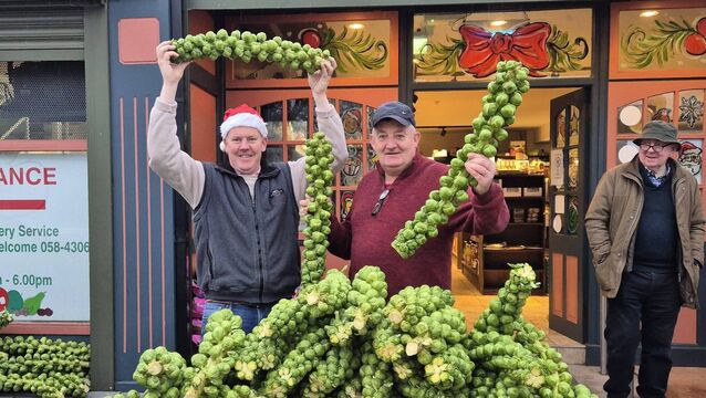 <p>Cllr Damien Geoghegan with Conor at The Country Store in Dungarvan.</p>