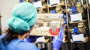 Gardaí can contain violent disorder, acting Deputy Garda Commissioner says