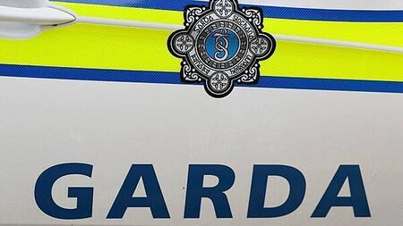 Appeal for witnesses after elderly pedestrian killed in collision