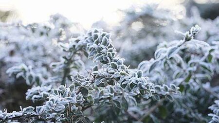 Met Éireann forecasts frost, ice, and winter sunshine over Christmas period
