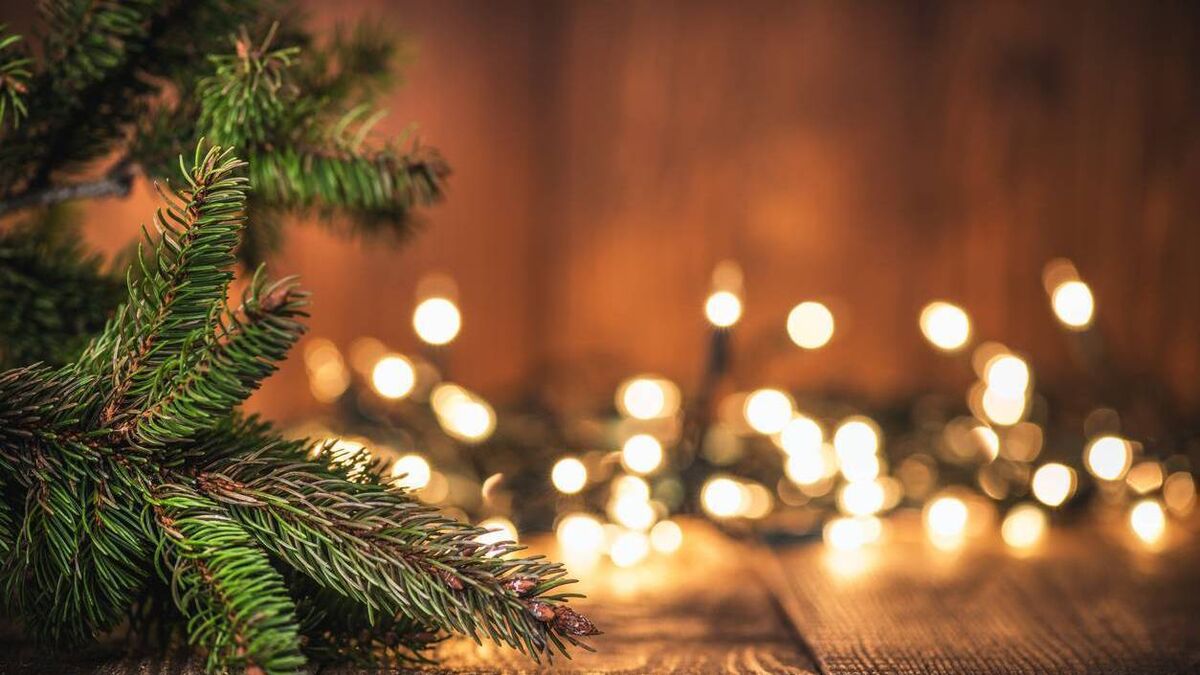Here is where you can recycle your natural Christmas tree for free in Waterford