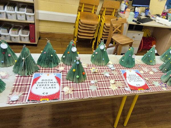 Pictured at the Newtown Junior School magical Christmas Extravaganza Day. 