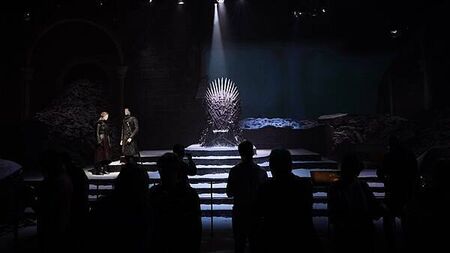 Co Down Game Of Thrones attraction reports ‘operating loss’