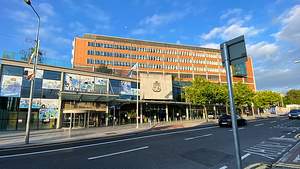 Woman (50s) remains in serious condition following incident with pit bull in Co Carlow