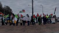 Good turnout for annual NYE Palestine vigil in Waterford