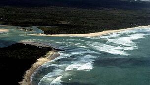 Call to roll out Tasers across PSNI as attacks on officers spiral Call to roll out Tasers across PSNI as attacks on officers spiral