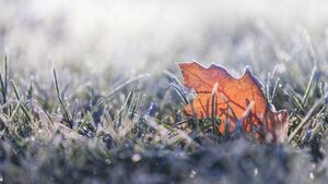 Weather warning issued for Waterford as temperatures set to drop this weekend