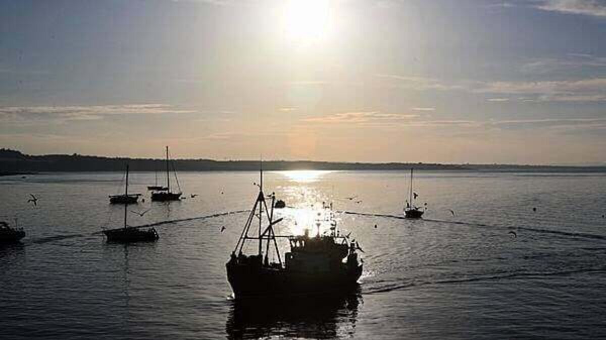 New unit to investigate marine accidents established