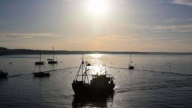 New unit to investigate marine accidents established