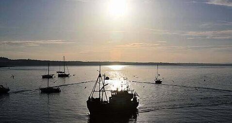 New unit to investigate marine accidents established