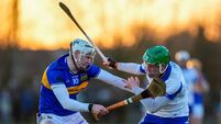 Waterford produce fightback to torment Tipperary 