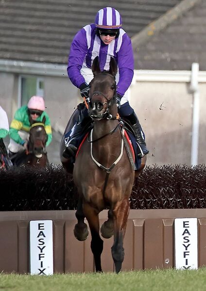 . The winner of the David Flynn Construction Maiden Hurdle, the Gordan Elliott trained Stede Bonnet ridden by Danny Gilligan jumps the last hurdle in the lead.