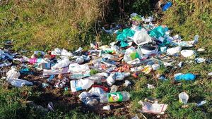 Rural Waterford used as illegal dumping ground over Christmas 