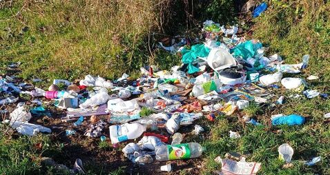 Rural Waterford used as illegal dumping ground over Christmas 