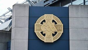 Dividing young GAA players by ability can be ‘very beneficial’, research finds