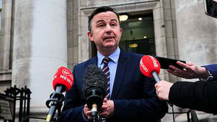 Mairéad Ronan secures planning for Waterford holiday home revamp despite local opposition