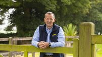 Dawn Meats' Niall Browne steps in as Alliance Group Acting CEO