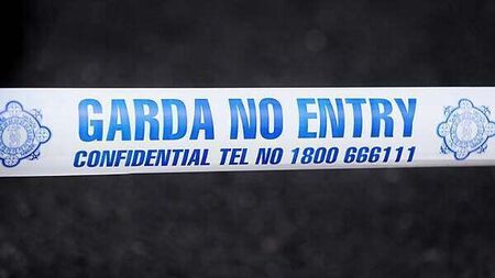 Man (40s) arrested after assault of man (50s) in Co Carlow