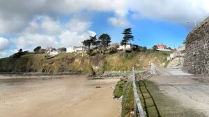 Local Notes: Sympathies, new CEO, grief support group, community choir news and more from Tramore