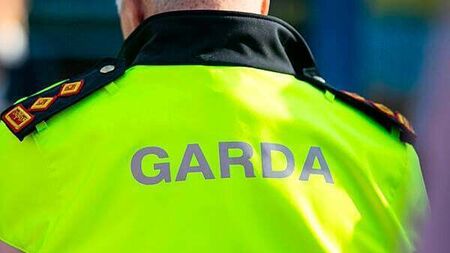 Teenager arrested in connection with death of man in Dublin last year