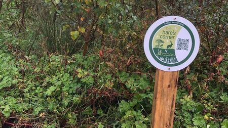 Hare’s Corner biodiversity project open for applications
