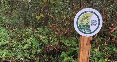 Hare’s Corner biodiversity project open for applications