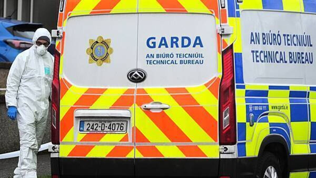 ‘Deep sense of sadness’ following death of father and son in west Dublin