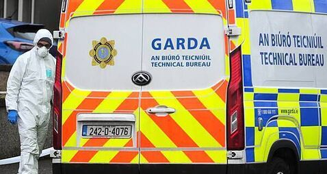 ‘Deep sense of sadness’ following death of father and son in west Dublin