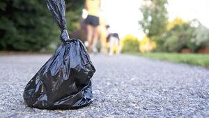 Dog fouling is reaching an 'unacceptable level' in Waterford 