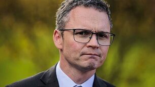 Electric Picnic and Dua Lipa help MCD Productions make €180m from ticket sales in 2025