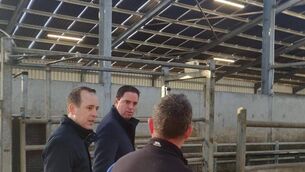 <p>Deputy Cummins called it the 'right decision' for Irish farmers. </p> <p>Deputy Cummins called it the 'right decision' for Irish farmers. </p>