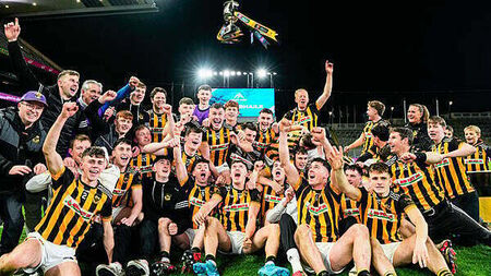GAA: Upperchurch-Drombane and Kilbrittain win hurling titles