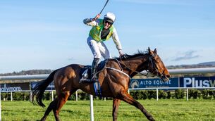 <p>Declan Queally on I’ll Sort That celebrates winning The Ballymore Novice Hurdle (Grade 1) at Naas on Friday last. Photo: INPHO/Morgan Treacy</p>