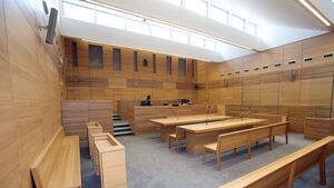 'I'll never go down that road again' - man with 95 convictions appeals sentence severity