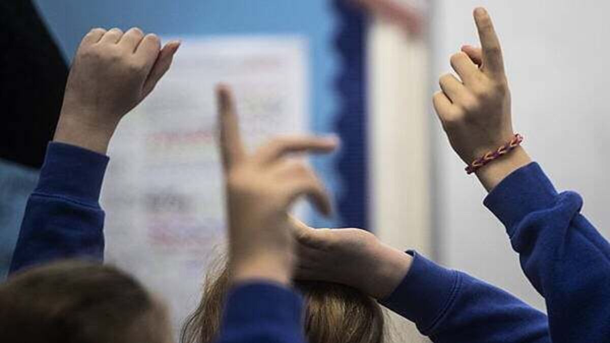 Nearly 170 new special classes announced for 159 schools across the State