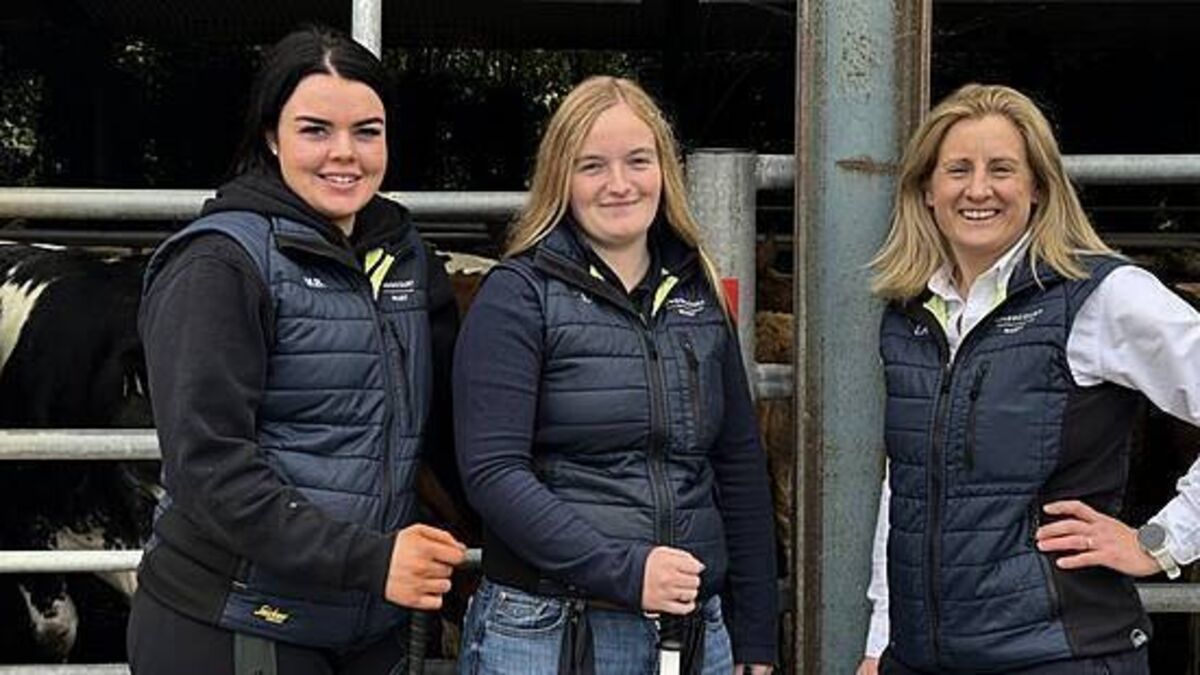 Female-led mart behind new sale system for restricted herds