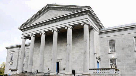 Clare woman accused of stealing 6.5ft Christmas tree tells judge 'I am a famous woman'